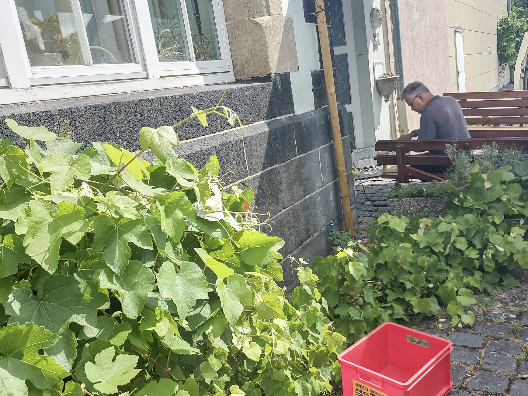 Roland Geyer hat sich um den Sturmschaden an der Weinrebenwand gekümmert, Winfried Goretzki hat draußen die Bänke teilweise abgeschliffen und frisch lackiert.